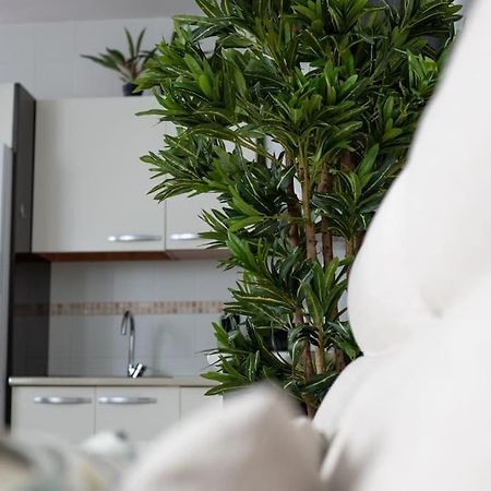 Trinidad Apartment Малага Екстер'єр фото
