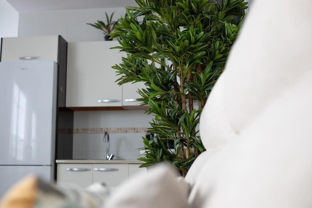Trinidad Apartment Малага Екстер'єр фото